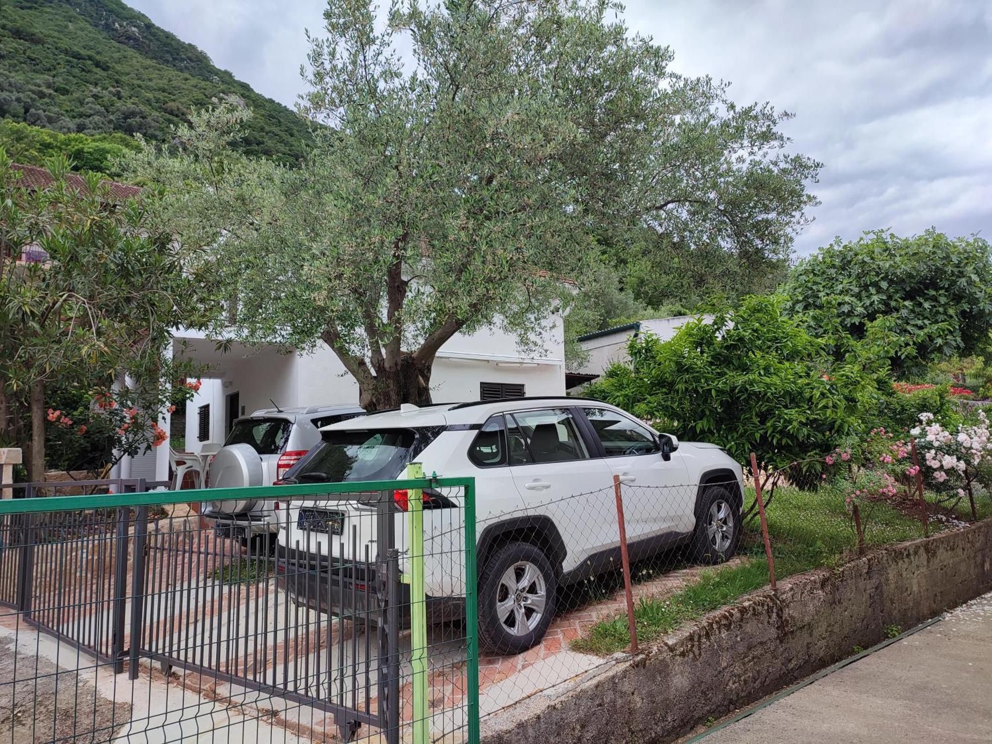 Holiday House In The Kotor Bay Экстерьер фото